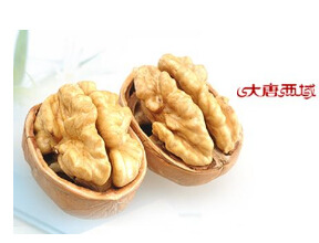 【大唐西域】