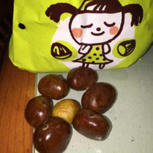 【金栗圣】