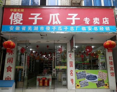 傻子瓜子