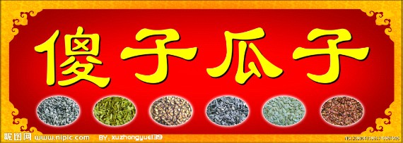傻子瓜子