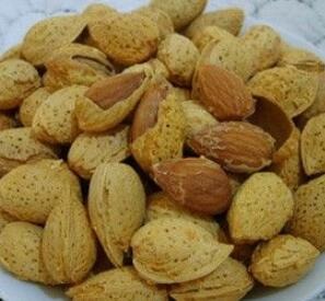 新疆干果