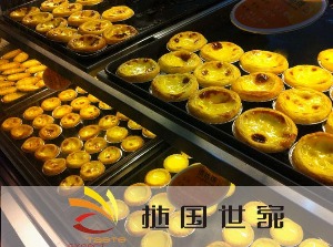 【挞国世家】