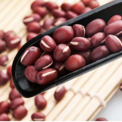【乐食麦有机健康食品】