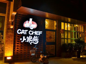 小馋猫