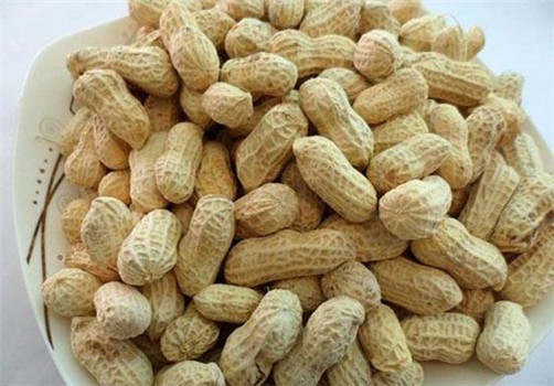 【一品香炒货干果】