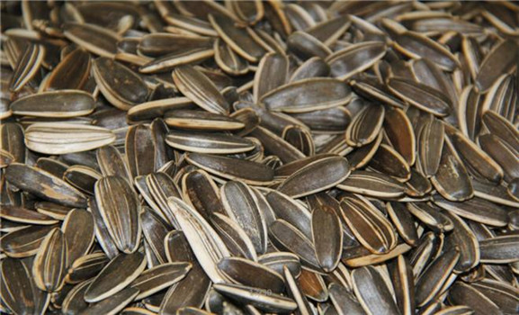 【一品香炒货干果】