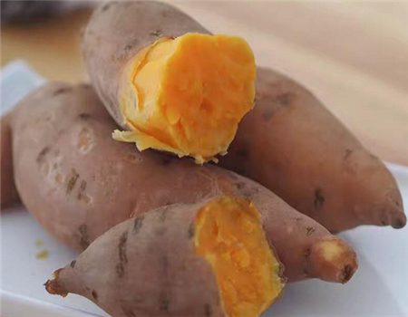 【宋胖子地瓜坊】