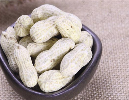 【食新食异零食连锁店】