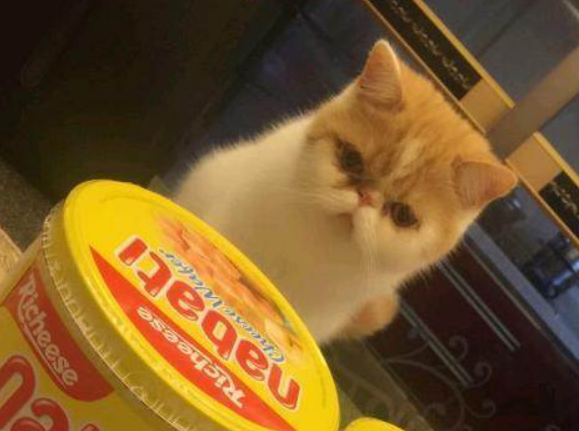 【加菲猫食品】