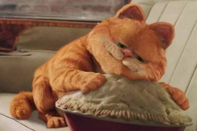 【加菲猫食品】