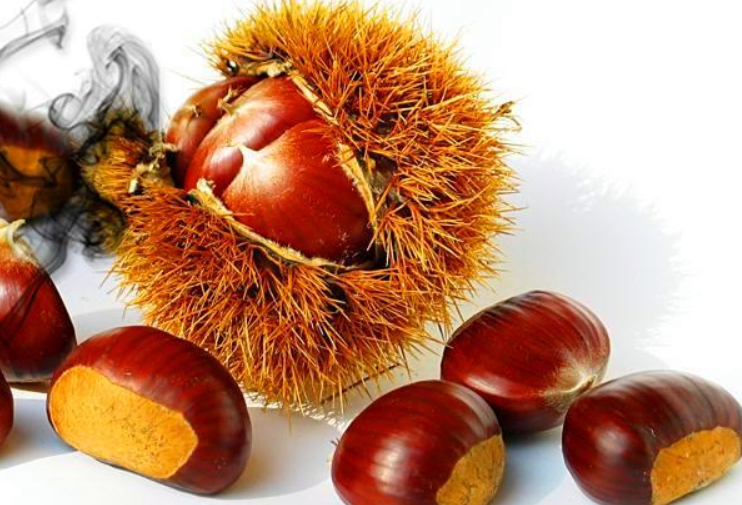 【好邻居食品】