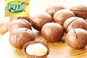 【果特加休闲食品】