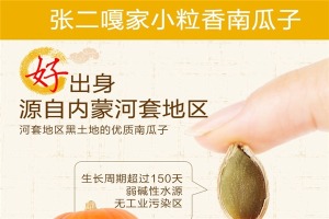 【张二嘎坚果炒货】