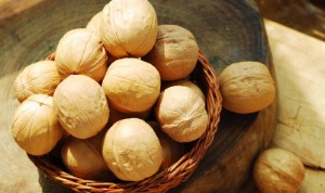 【果奈尔坚果】