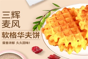 【三辉麦风休闲食品】
