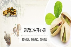 【果语仁生坚果】