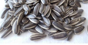 【曲记炒货干果零食】