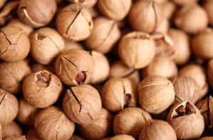 【鑫忆品香炒货】