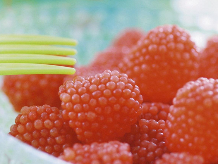 【糖果街食品】