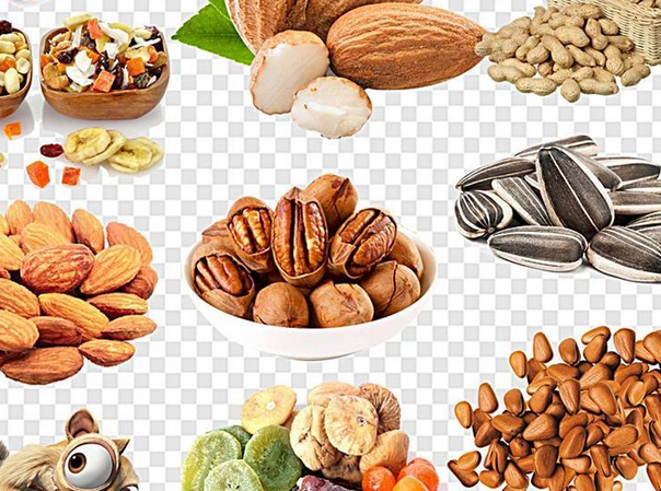 【松鼠爱坚菓】