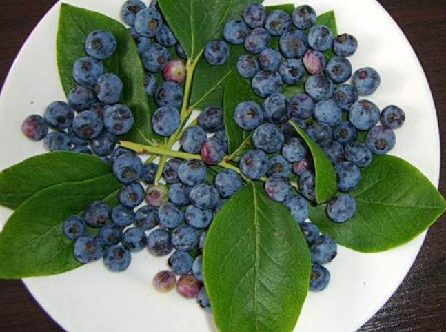 【蓝莓之约休闲食品】