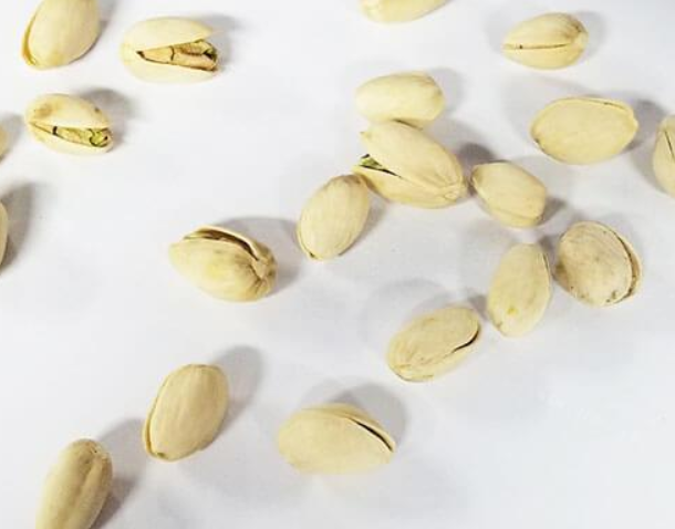 【蒲公英休闲食品】