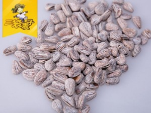 【三袋麦子零食】