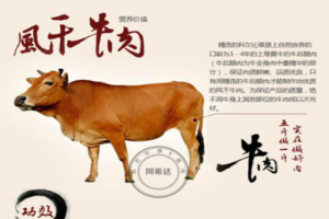 【阿希达牛肉干】