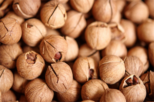 【老字号炒货】