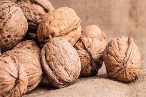 【福根核桃仁】