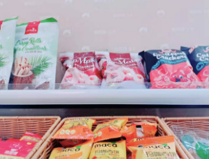 【艾达的世界】