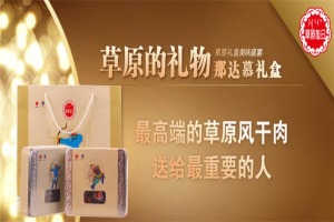 【草原旭日牛肉干】