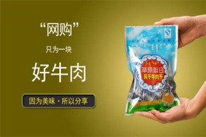 【草原旭日牛肉干】