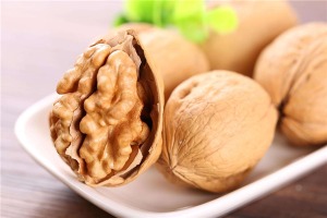 【福根核桃仁】