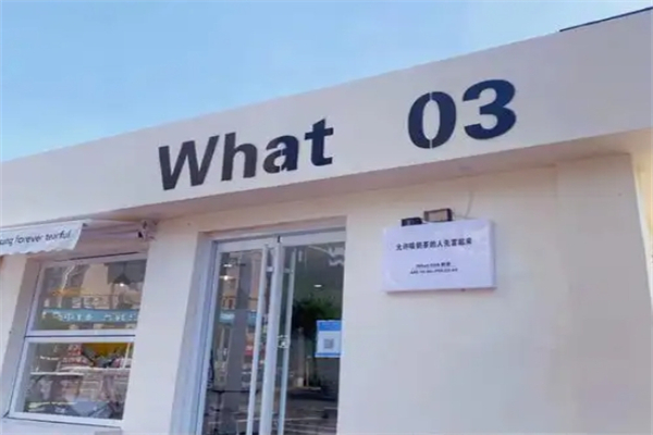what03奶茶加盟