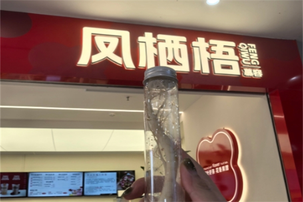 凤栖梧奶茶加盟