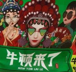 牛顿来了牛腩煲饭