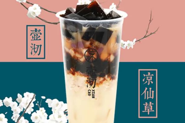 壶沏凉仙草加盟
