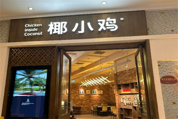 椰小鸡