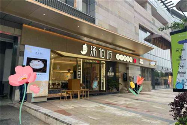 汤伯府骨汤猪肚鸡