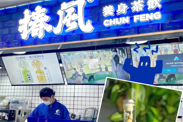 椿风养生茶加盟