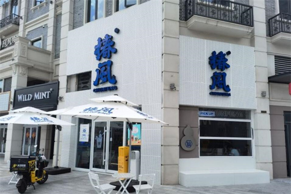 椿风养生茶加盟