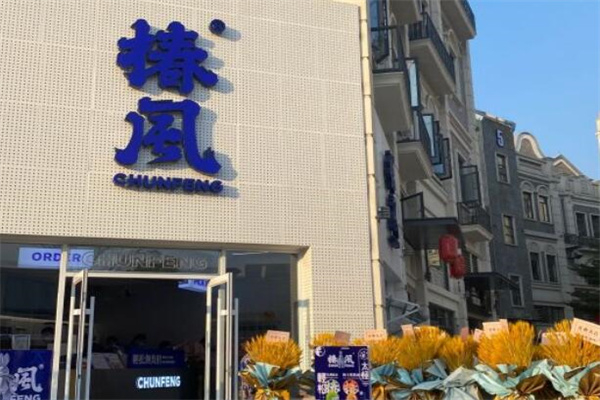 【椿风养生茶】