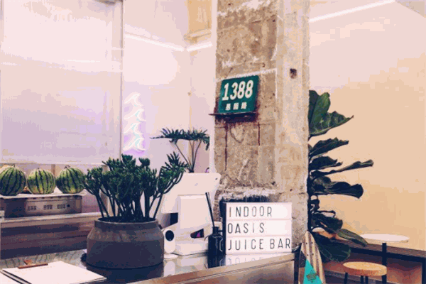 【indooroasis绿洲间】
