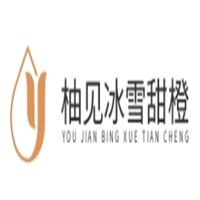 柚见冰雪甜橙奶茶