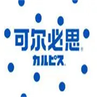 可尔必思饮品