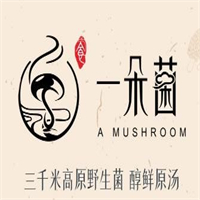 一朵菌野生菌火锅