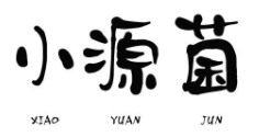 小源菌奶茶