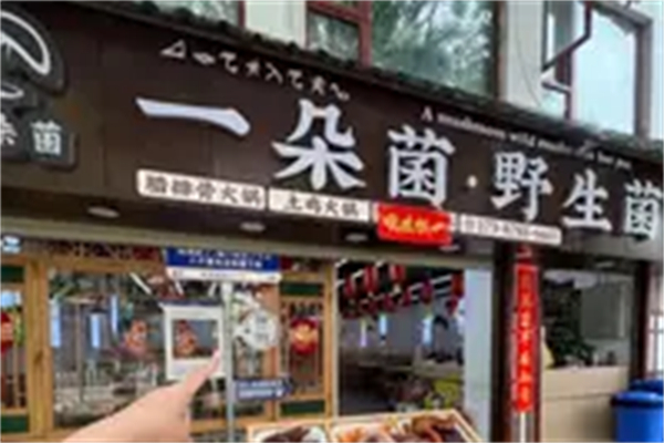 一朵菌野生菌火锅加盟