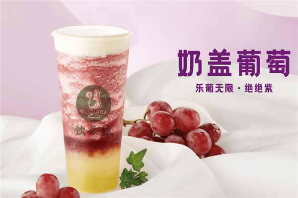 饮朵拉大杯茶加盟